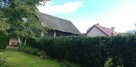 wycinka drzew metodą alpinistyczną - 4