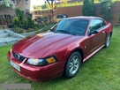 Ford Mustang Klima Stan Super LPG - 2