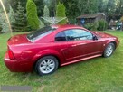 Ford Mustang Klima Stan Super LPG - 15