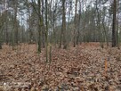 24 ary Rudna Mała/Głogów Małopolski - - 6