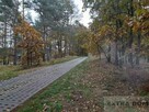 Działka żdżary - 6