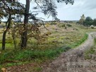 Działka żdżary - 3