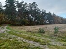 Działka żdżary - 2