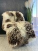 Naturalna skóra owcza Holenderska i Texel Dywan Dywaniki - 4