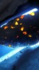 Meteoryt z oliwinami płytka Pallasytu - 14