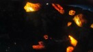Meteoryt z oliwinami płytka Pallasytu - 8