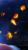 Meteoryt z oliwinami płytka Pallasytu - 16