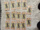 Banknoty kolekcjonerskie Polski Żubr - 3