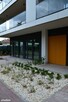 Lokal 115 m2 naprzeciwko Parku Szczęśliwickiego - 4