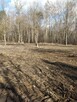 Wynajmę działkę Piaseczno -Nowy Prazmow - 6
