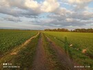 Działka przemysłowa pod halę, farmę słoneczną. - 7