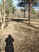 Wynajmę działkę Piaseczno -Nowy Prazmow - 9