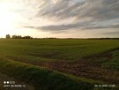 Działka przemysłowa pod halę, farmę słoneczną. - 5