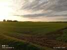 Działka przemysłowa pod halę, farmę słoneczną. - 4
