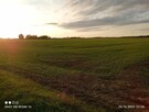 Działka przemysłowa pod halę, farmę słoneczną. - 8