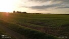 Działka przemysłowa pod halę, farmę słoneczną. - 3