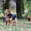 Mona i Leo szukają wspólnego domu rodzeństwo 5letnie małe - 2