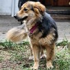 Mona i Leo szukają wspólnego domu rodzeństwo 5letnie małe - 4