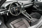 718 cayman gt4 - 10