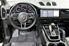 Cayenne - 7