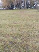 Na sprzedaż działka rolno budowlana 49ar - 6