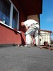 Szukam pracy - 4