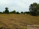 Działka Jenikowo - 5