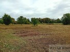 Działka Jenikowo - 12