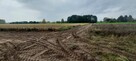 sprzedam działki budowlane - 2