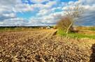 Sprzedam ładną działkę w Morawsku! - 4