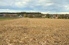Sprzedam ładną działkę w Morawsku! - 3