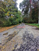 Lokal użytkowy Zapole gm. Grodzisk Mazowiecki, - 5
