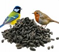 Słonecznik Czarny Pokarm Karma dla Ptaków na Zimę 1 KG - 3