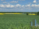 Działka budowlana Dobroszów gm. Chojnów, - 2