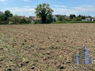 Działka budowlana Dobroszów gm. Chojnów, - 3