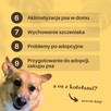 Psi behawiorysta/zoopsycholog - 2