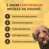 Psi behawiorysta/zoopsycholog - 3