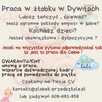 Opiekun / pomoc opiekuna w żłobku w Dywitach