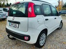 Fiat Panda Klima, Bezwypadkowy - 3