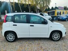 Fiat Panda Klima, Bezwypadkowy - 7
