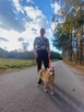 Kochany przyjaciel domu Płowy do adopcji 3letni 14kg - 5