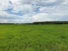 Działka Rabinówka gm. Tomaszów Lubelski - 2
