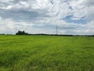 Działka Rabinówka gm. Tomaszów Lubelski - 3