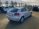Audi A3 1.6 MPI 102 KM KLIMA, ELEKTRYKA, ZADBANY - 5