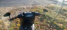 Aprilia area 51 - 3