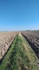 Grunty orne użytkowane 5.63 hektara - 7