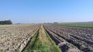 Grunty orne użytkowane 5.63 hektara - 6