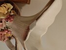 Mam do sprzedania porcelana - 6