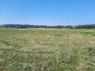 Działka rolna gm.Jeleniowo woj.Podlaskie - 3