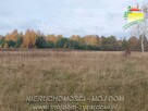 Działka budowlana Benenard gm. Radziejowice - 6